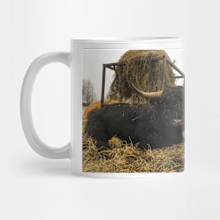 Scottish Highland Cattle Bull 2177 Mug